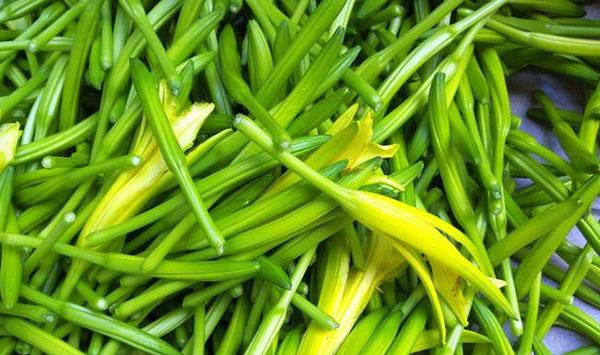 黄花菜什么时候播种？黄花菜高产栽培管理技术