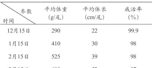 大菱鲆北鱼南养试验小结