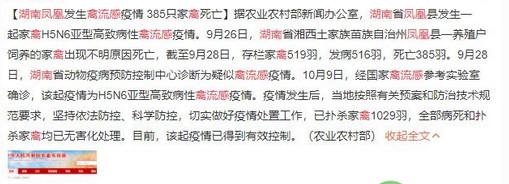 湖南凤凰禽流感疫情来袭，养殖户们该做好哪些防治措施？
