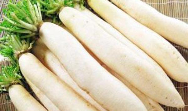 萝卜膨大期2个管理要点
