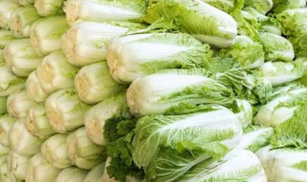 白菜种植条件和栽培方法
