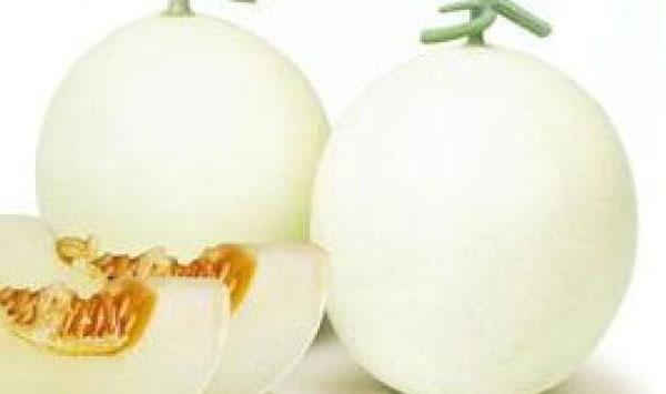 宁河区设施棚室早春甜瓜病虫害综合防治技术