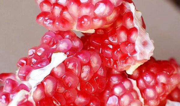 盆栽石榴有哪些养护要点？盆栽石榴疏花疏果技术要点