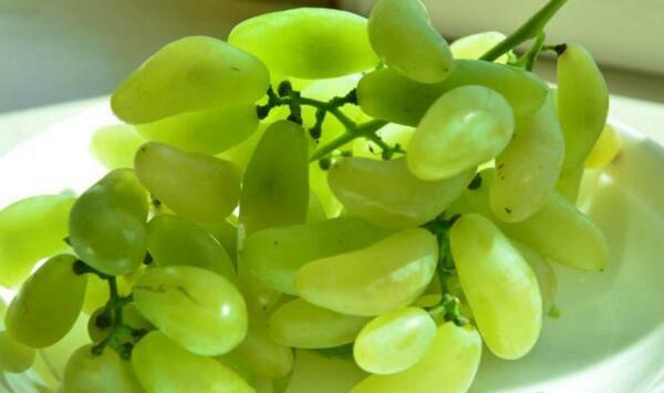 湖北葡萄产业存在哪些问题？湖北葡萄产业现状及发展建议