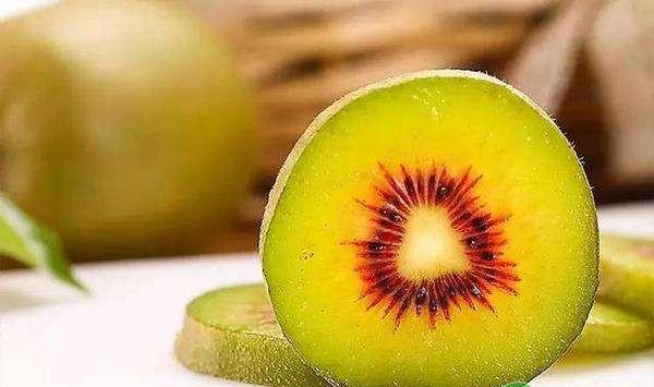 红心猕猴桃高效栽培技术及病虫害防治