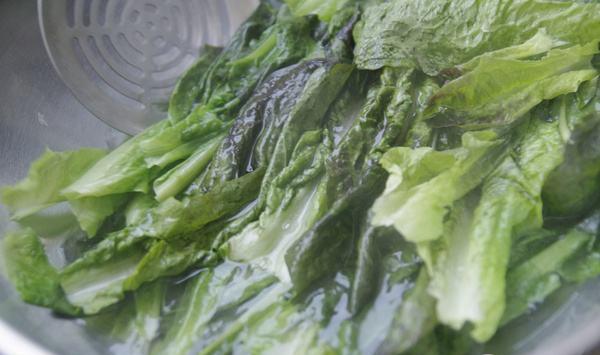 莴笋的播种时间和种植要点