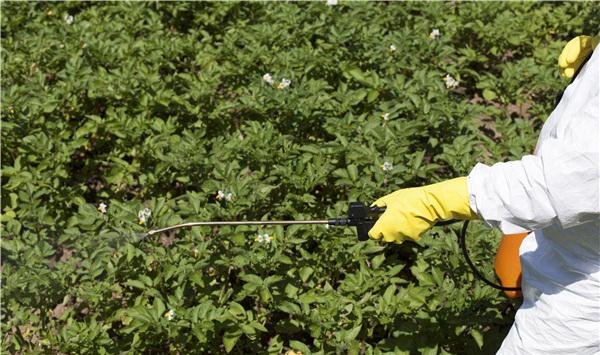 变质农药辨认方法