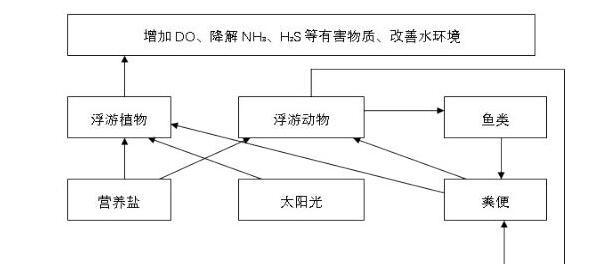 唐山地区池塘和海上网箱养殖红鳍东方鲀技术