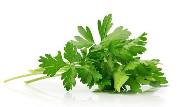 芹菜缺硼原因