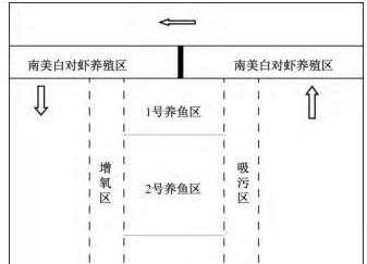 南美白对虾养殖池塘内循环流水养鱼技术