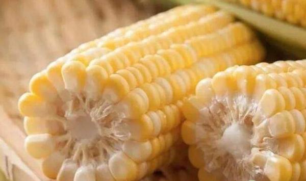 水果玉米种植技术要点