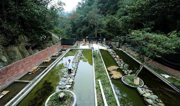 水产养殖增氧注意事项