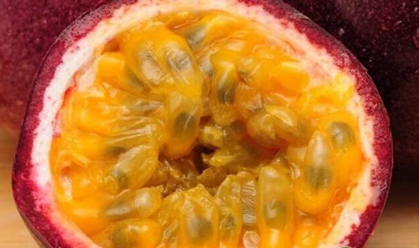 百香果的花期特征及温、湿度管理