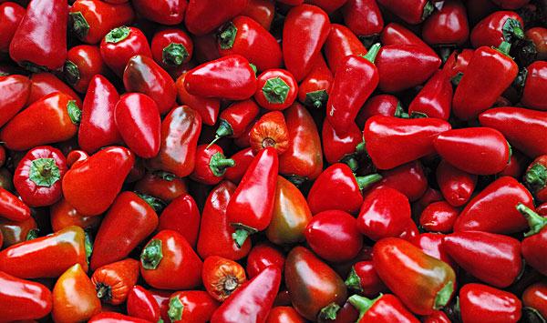 辣椒落花落果原因