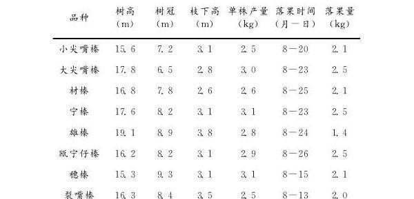 锥栗异常落果原因及防治措施（附治理效果图）