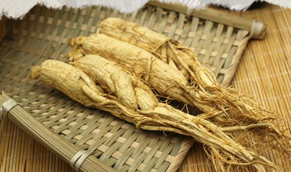 人参种植环境条件