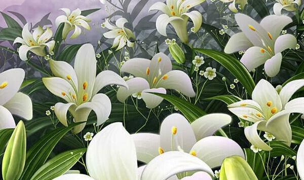 食用百合的适宜种植时间