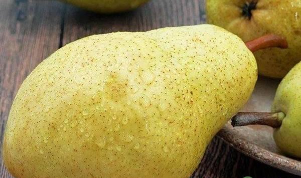 黄金梨果锈严重的原因是什么