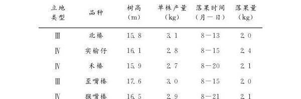 锥栗异常落果原因及防治措施（附治理效果图）