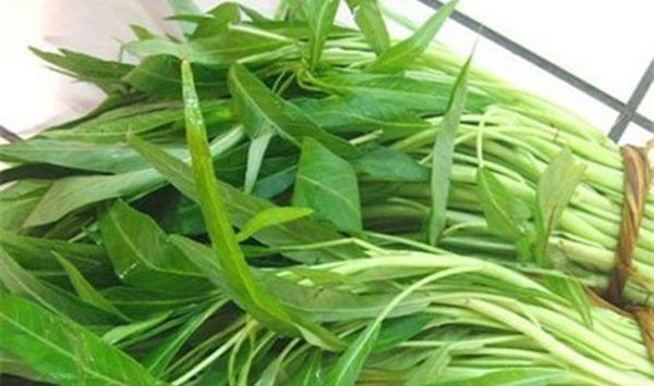 空心菜高产种植