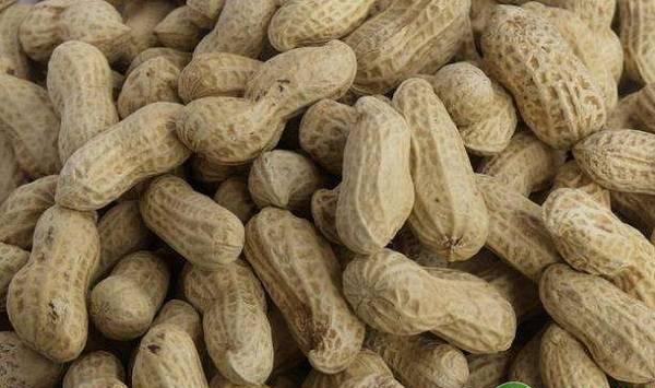 花生浇水的方法和注意事项