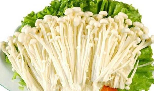 金针菇家庭种植方法详解