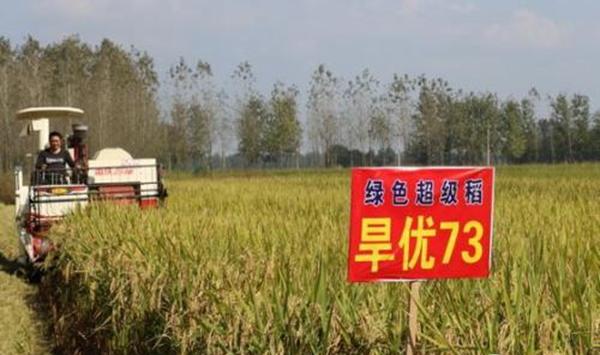 乙蒜素在农业生产上的应用