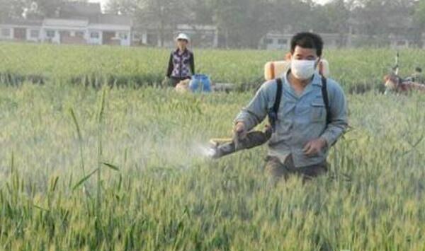什么是生物肥料？生物肥料使用注意事项