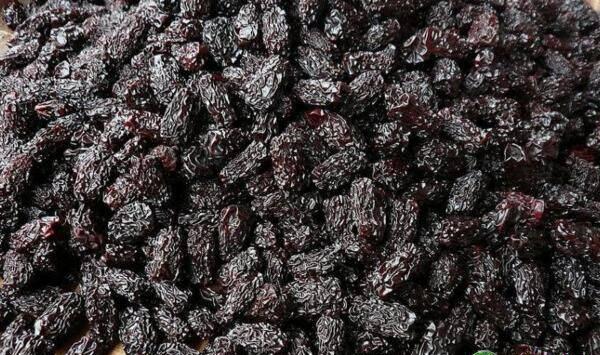 黑枣植物学物性、栽培技术、采收时间