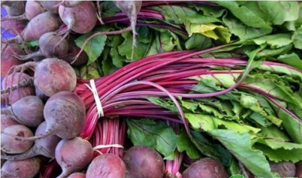 高产优质的甜菜如何栽培？老菜农说这三点很重要！