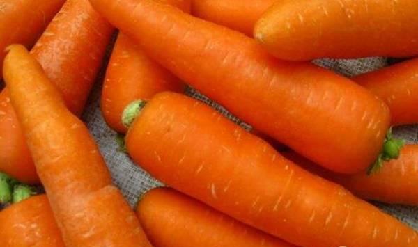 夏季胡萝卜高产栽培管理技巧