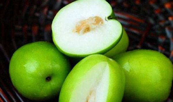 毛叶枣加工技术