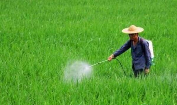 什么是生物肥料？生物肥料使用注意事项