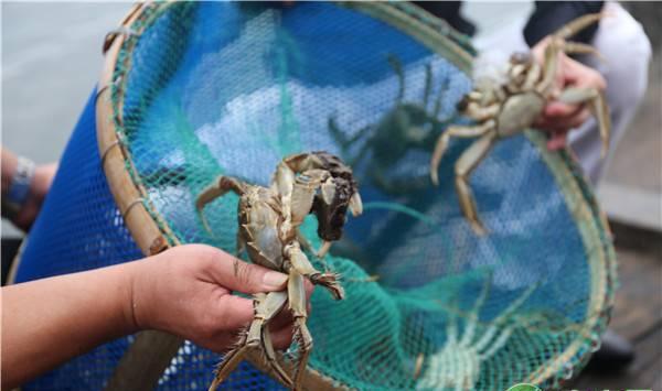 河蟹冬季管理技术