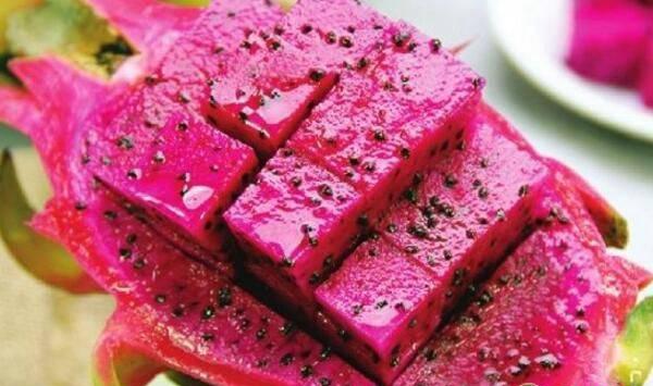 红玉火龙果双层避雨结构种植技术及病虫害防控措施