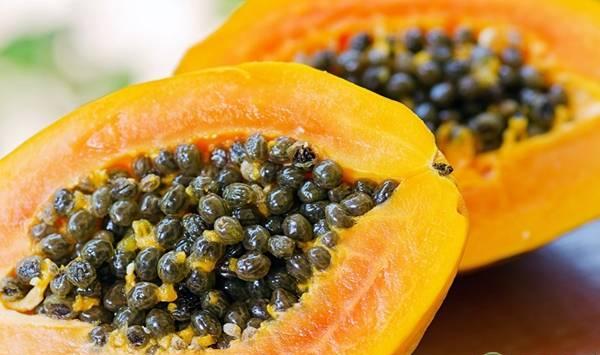 番木瓜红蜘蛛发生规律、为害症状、防治措施
