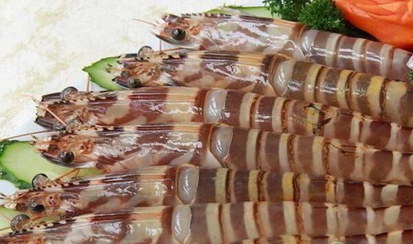 日本对虾养殖池设施、放苗准备、工厂化养殖技术