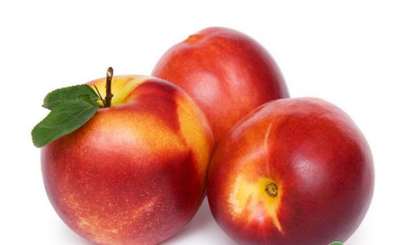 大棚油桃扣棚升温、施肥浇水、病虫防治等管理措施