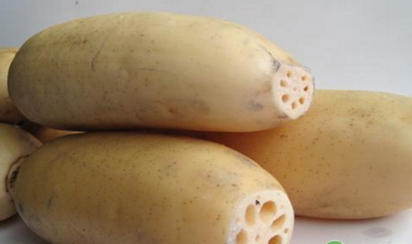 莲（藕）+小龙虾共作种养技术及管理措施