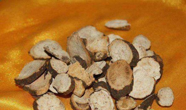 川赤芍植物学特性、前景展望、栽培方法