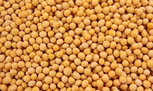 大豆为何只开花不结荚？大豆开花结荚期管理措施