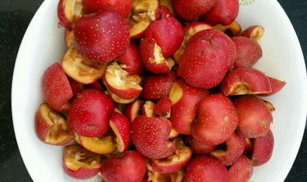 山楂保鲜贮藏技术要点