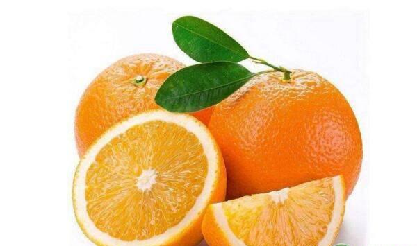 脐橙树常见虫害什么时候防治好？有哪些防治措施？