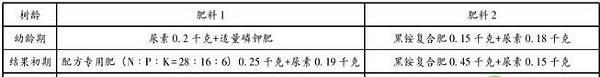 核桃树高效施肥技术要点（陇南市）