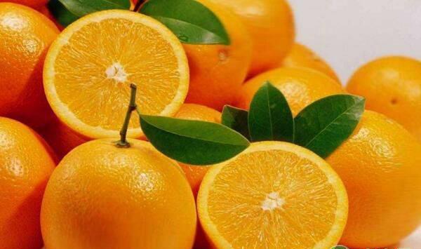 脐橙树常见虫害什么时候防治好？有哪些防治措施？