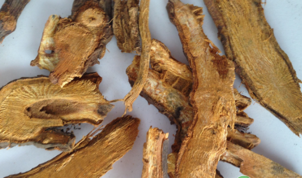 虎杖有哪些用途？虎杖高产种植技术