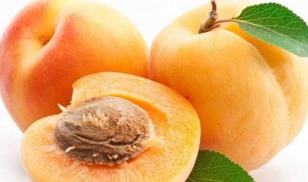 杏树花果期的管理