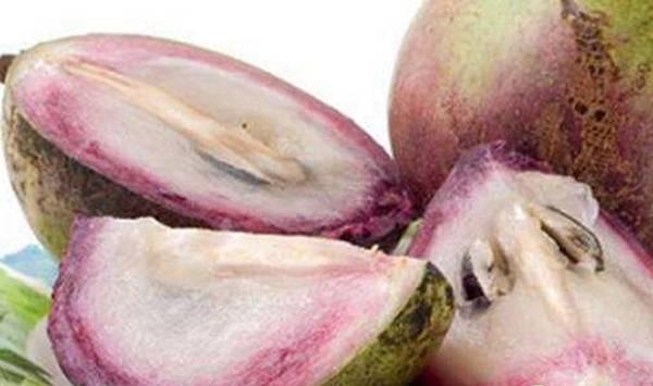 金星果的种植栽培繁殖技术要点