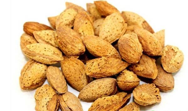 巴旦木的栽培要点和注意事项