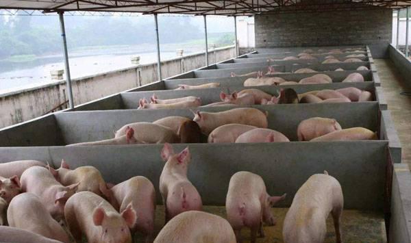 养殖场蚊蝇事项